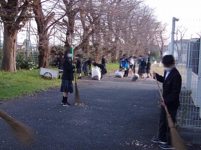 落ち葉