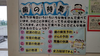 歯の特集2