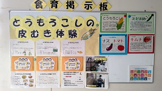 とうもろこし