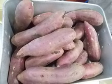給食0413