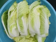 しょく