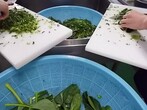 だんご