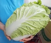 だんご