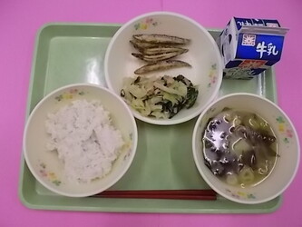 しょく