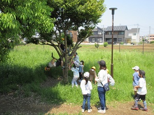 遠足