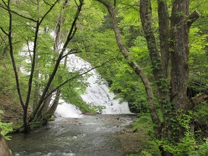湯滝