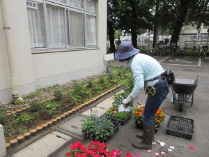 花