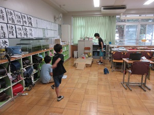 会