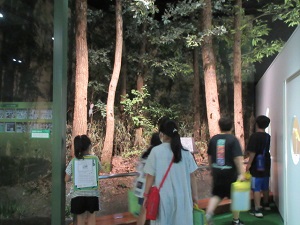 多摩