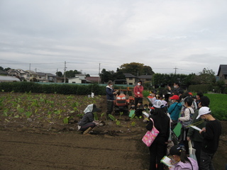 農家見学