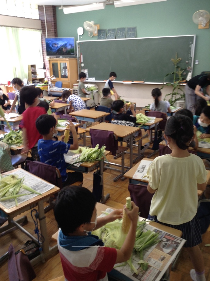 6月27日