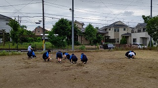 石拾い・草むしり