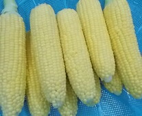 給食0413