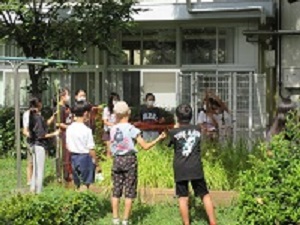 5年
