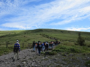 山