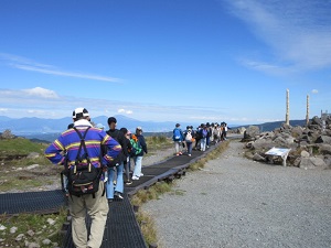 山