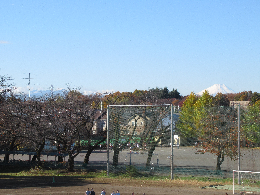 写真　富士山