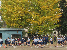 写真　マラソン大会