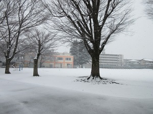 雪