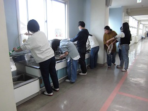 ほうし