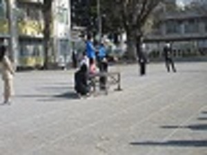 式