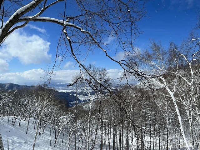 景色