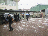 写真　雪と受験