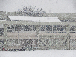 写真　雪と受験