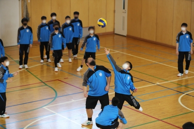 合同体育