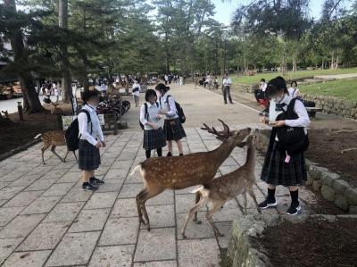 奈良公園