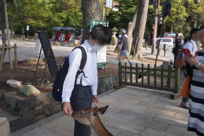 奈良公園