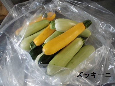 給食