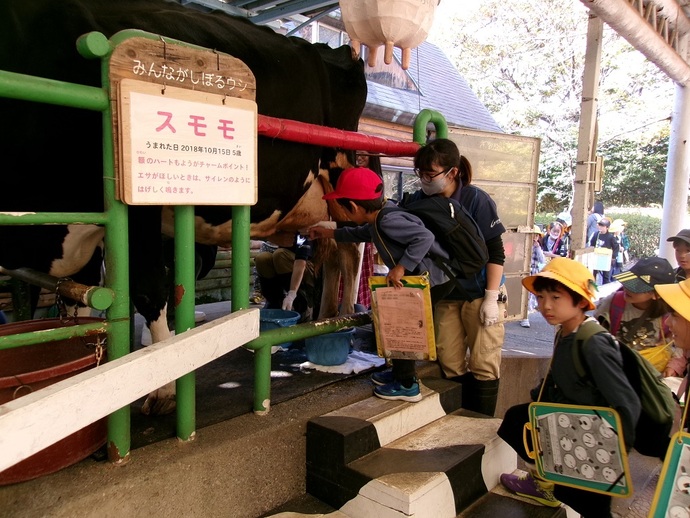 生活科見学