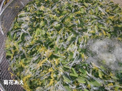 給食