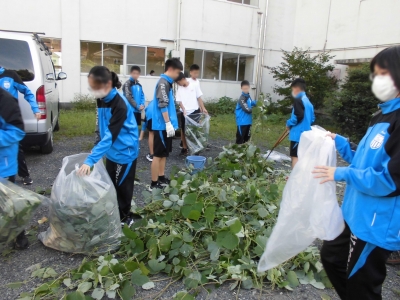 草取り