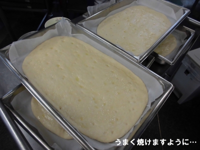給食