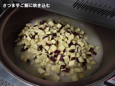 給食