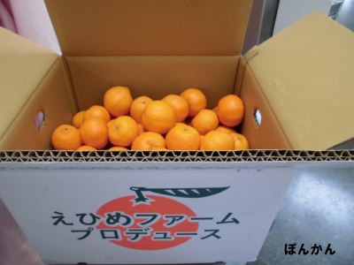 給食