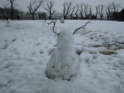 積雪