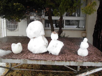 積雪
