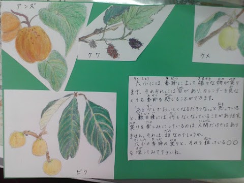 実り