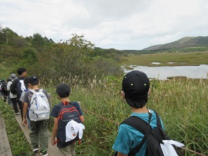 湿原