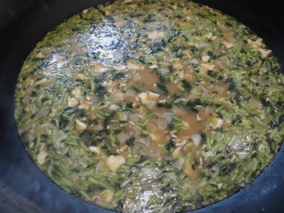 給食