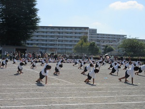 5年