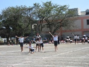 6年