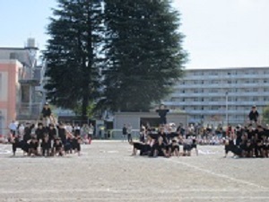 6年