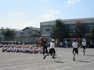 5年