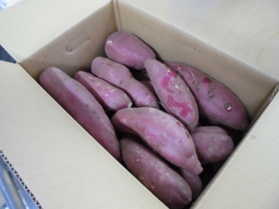 給食