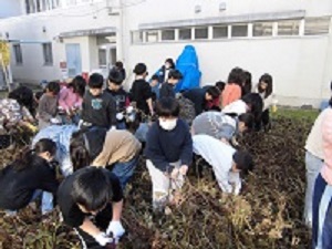 いも