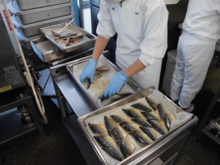 給食